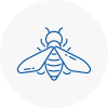 Bee Nest Removal Forest Hill