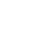 Domestic Ant Control For Forest Hill