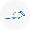 Mice Exterminators In Forest Hill