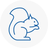 Forest Hill Rodent Removals