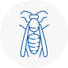 Forest Hill Wasp Nest Removal